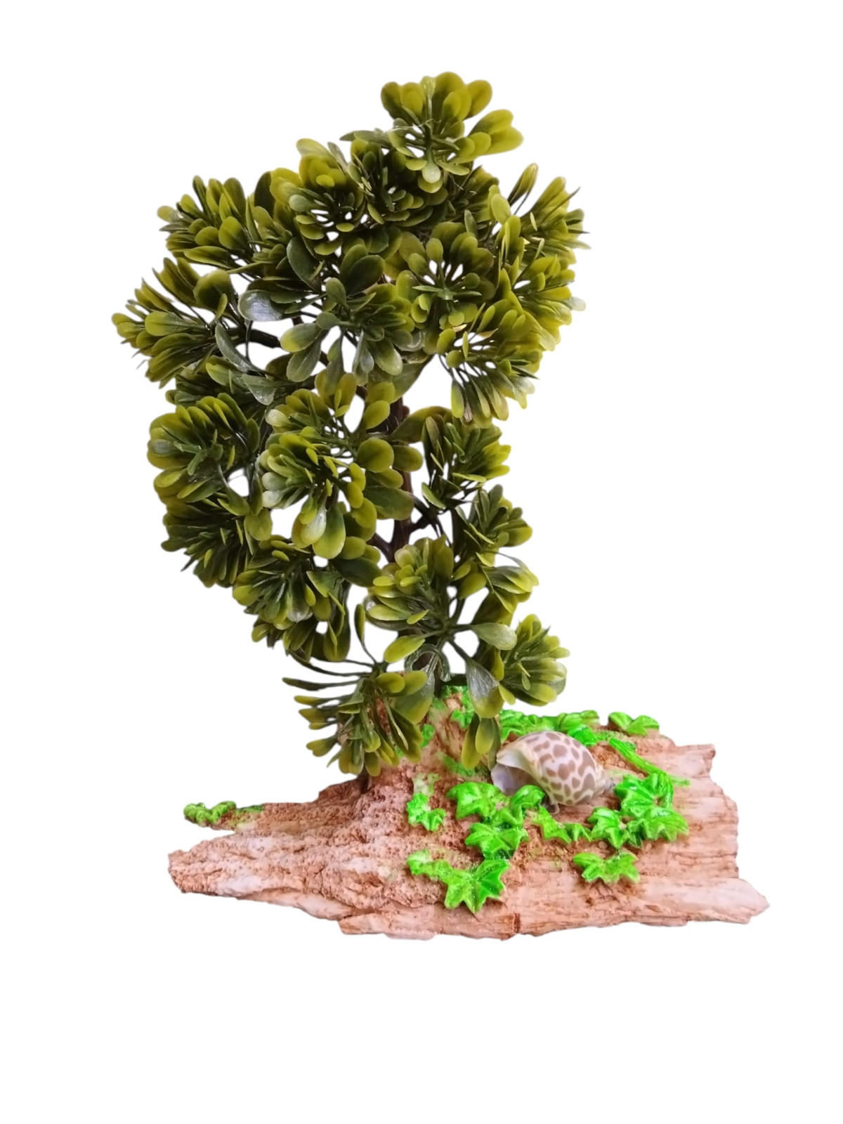 ALTAN BONZAİ DEKOR ALTAN BONZAİ DEKOR