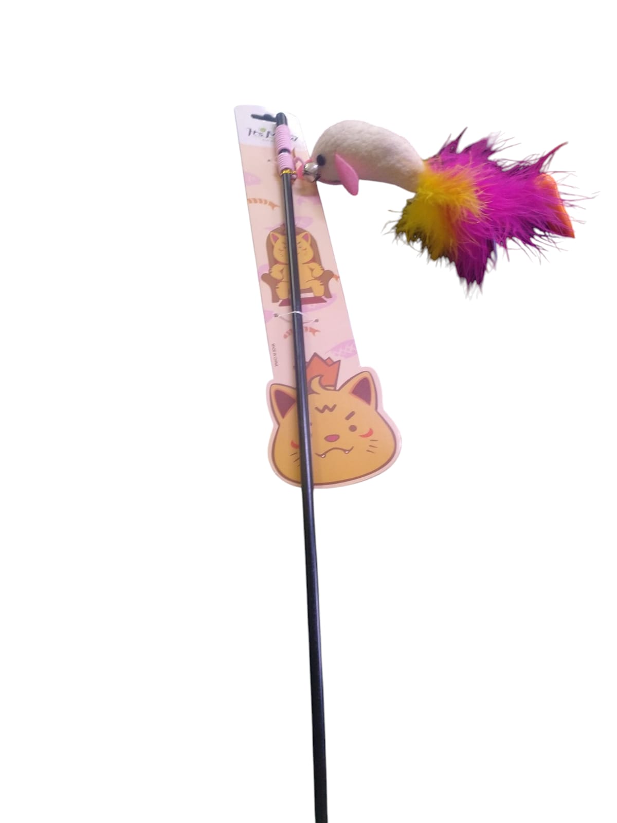 ANS W580 KEDİ OLTASI