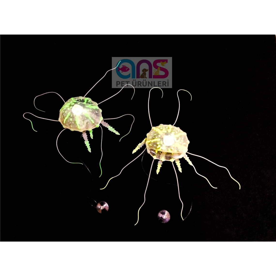 DENİZ ANASI İKİLİ