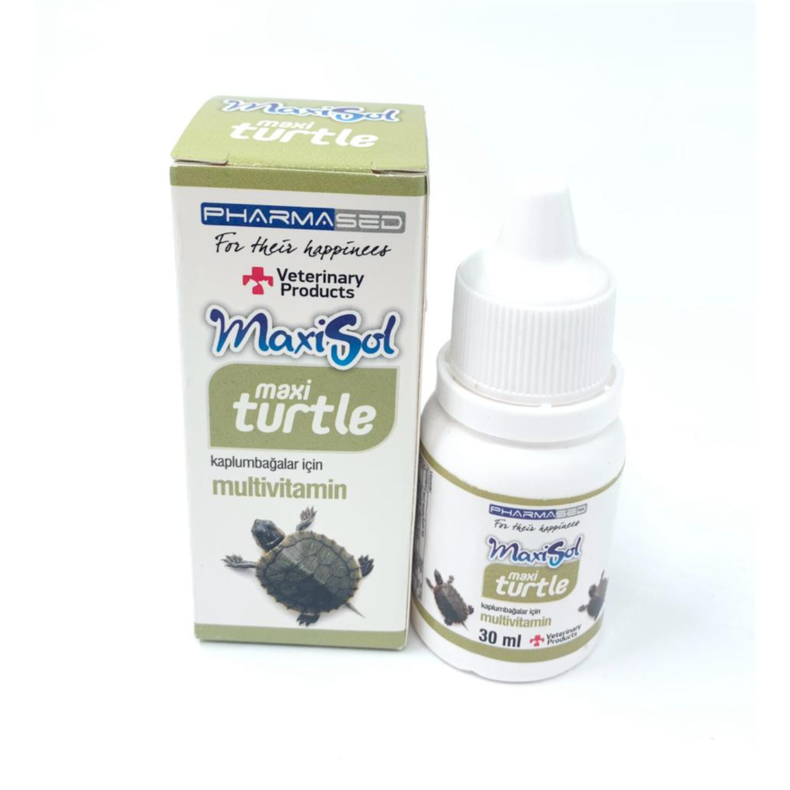 MAXİSOL MAXİ TURTLE