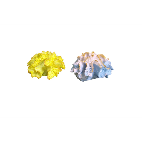 ALTAN MERCAN KARNIBAHAR  DEKOR