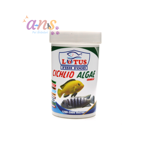 LOTUS CİCHLID ALGAE 100 ML