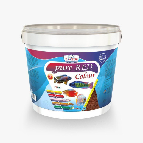 LOTUS PURE RED COLOR KOVA 2400 GR