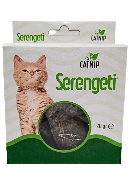 SERENGETİ CATNİP KEDİ OTU