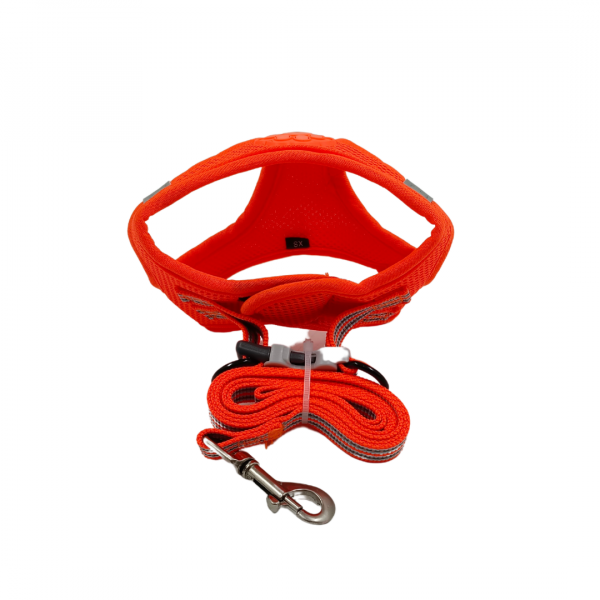 ANS-P007 FİLELİ TAKIM TASMA XS BEDEN - Görsel 6